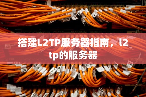 搭建L2TP服务器指南，l2tp的服务器