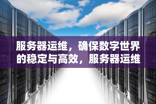 服务器运维，确保数字世界的稳定与高效，服务器运维主要做什么