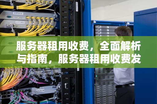 服务器租用收费，全面解析与指南，服务器租用收费发烧可以吃鸡蛋吗?