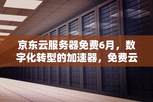 京东云服务器免费6月，数字化转型的加速器，免费云电脑