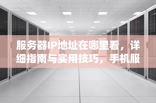 服务器IP地址在哪里看，详细指南与实用技巧，手机服务器ip地址在哪里看