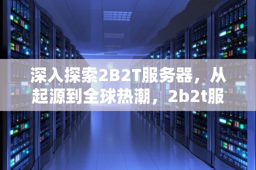 深入探索2B2T服务器，从起源到全球热潮，2b2t服务器怎么进