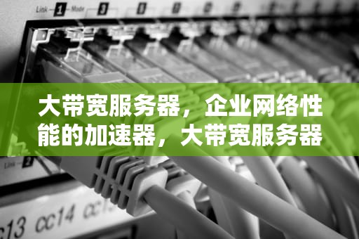 大带宽服务器，企业网络性能的加速器，大带宽服务器怎么租