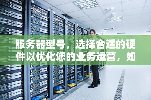 服务器型号，选择合适的硬件以优化您的业务运营，如何查看服务器型号