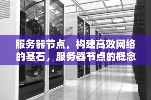 服务器节点，构建高效网络的基石，服务器节点的概念