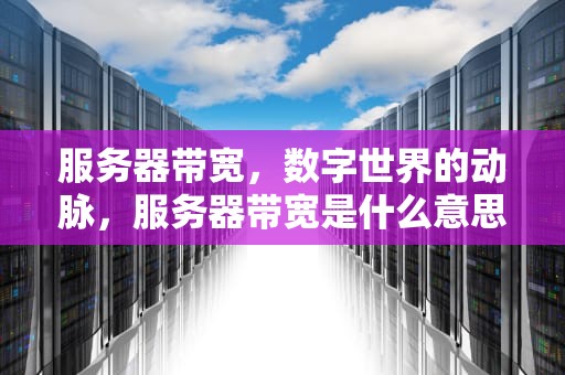 服务器带宽，数字世界的动脉，服务器带宽是什么意思