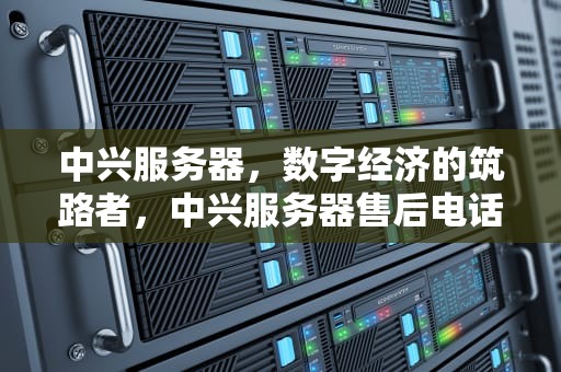 中兴服务器，数字经济的筑路者，中兴服务器售后电话