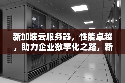新加坡云服务器，性能卓越，助力企业数字化之路，新加坡云服务器提供商