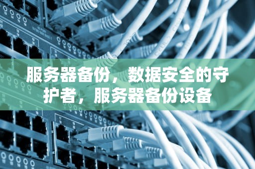 服务器备份，数据安全的守护者，服务器备份设备