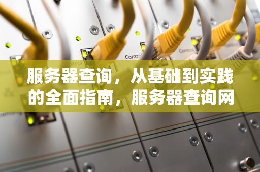 服务器查询，从基础到实践的全面指南，服务器查询网站入口