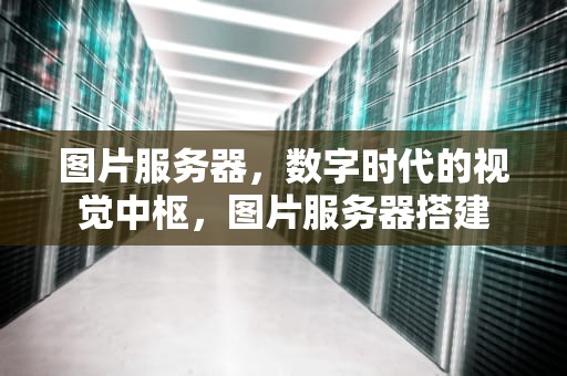 图片服务器，数字时代的视觉中枢，图片服务器搭建