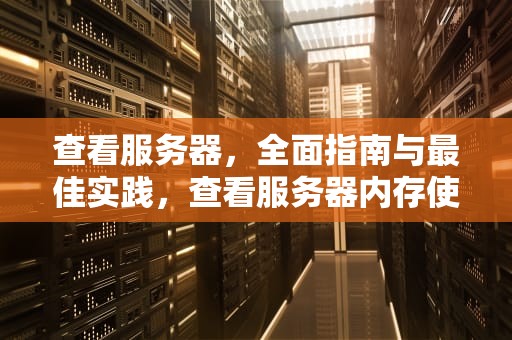 查看服务器，全面指南与最佳实践，查看服务器内存使用情况命令
