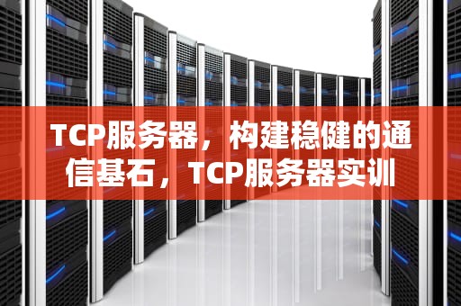 TCP服务器，构建稳健的通信基石，TCP服务器实训