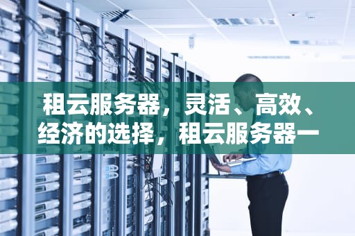 租云服务器，灵活、高效、经济的选择，租云服务器一个月多少钱