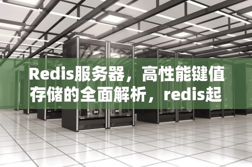 Redis服务器，高性能键值存储的全面解析，redis起服务
