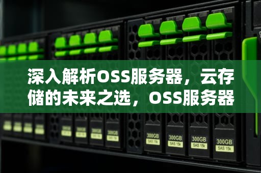 深入解析OSS服务器，云存储的未来之选，OSS服务器