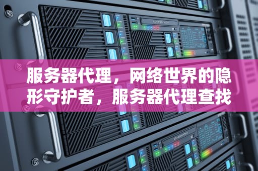 服务器代理，网络世界的隐形守护者，服务器代理查找失败是什么意思