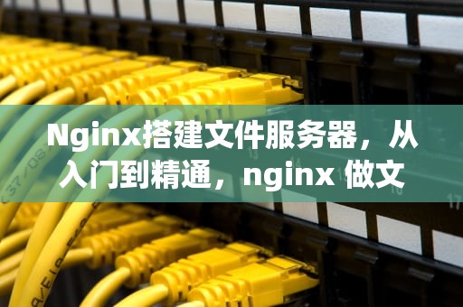 Nginx搭建文件服务器，从入门到精通，nginx 做文件服务器