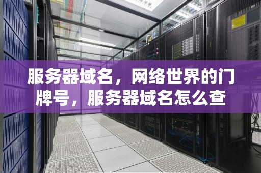 服务器域名，网络世界的门牌号，服务器域名怎么查