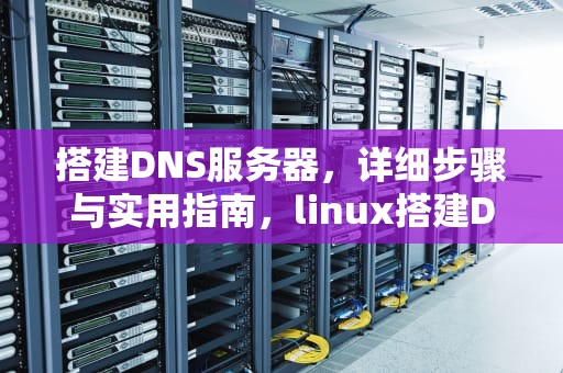 搭建DNS服务器，详细步骤与实用指南，linux搭建DNS服务器