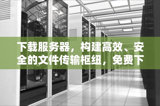 下载服务器，构建高效、安全的文件传输枢纽，免费下载服务器