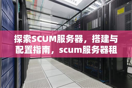 探索SCUM服务器，搭建与配置指南，scum服务器租用网站