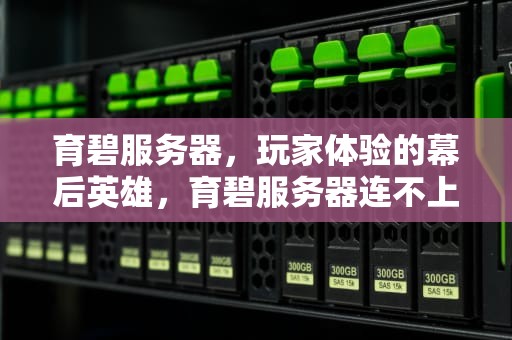 育碧服务器，玩家体验的幕后英雄，育碧服务器连不上解决