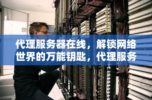 代理服务器在线，解锁网络世界的万能钥匙，代理服务器在线网站