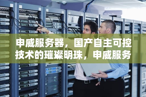 申威服务器，国产自主可控技术的璀璨明珠，申威服务器是哪家公司的