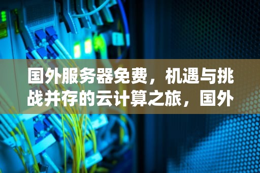 国外服务器免费，机遇与挑战并存的云计算之旅，国外服务器免费ip地址