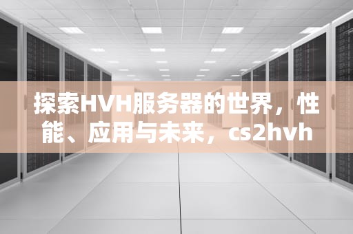 探索HVH服务器的世界，性能、应用与未来，cs2hvh服务器