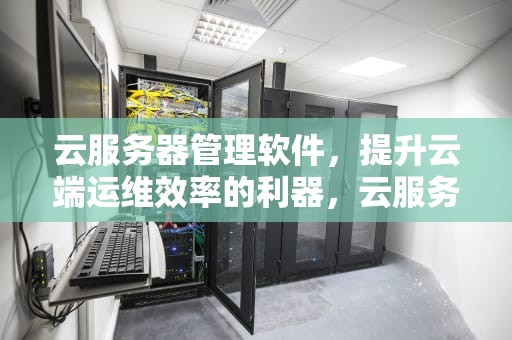 云服务器管理软件，提升云端运维效率的利器，云服务器管理软件有哪些