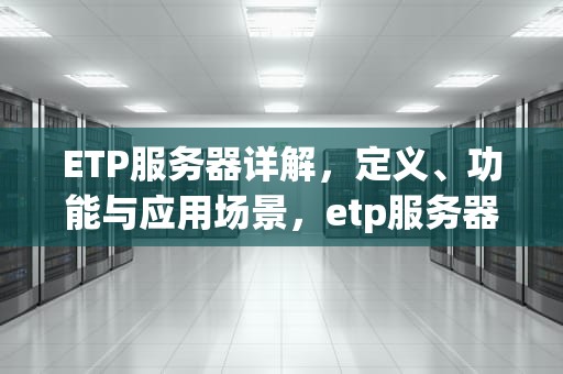 ETP服务器详解，定义、功能与应用场景，etp服务器默认端口号