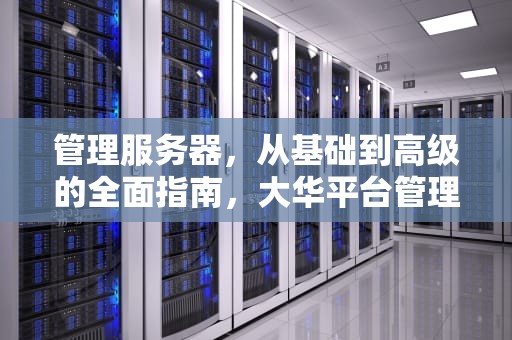 管理服务器，从基础到高级的全面指南，大华平台管理服务器