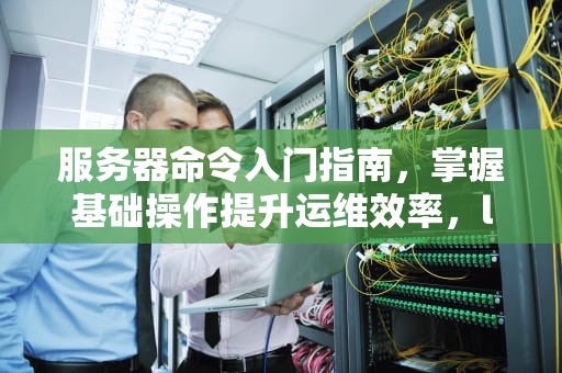 服务器命令入门指南，掌握基础操作提升运维效率，linux远程连接服务器命令