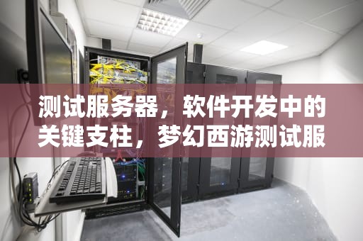 测试服务器，软件开发中的关键支柱，梦幻西游测试服务器