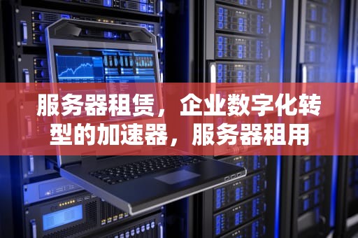 服务器租赁，企业数字化转型的加速器，服务器租用