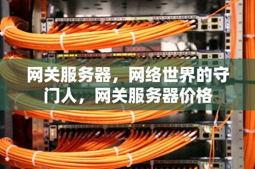 网关服务器，网络世界的守门人，网关服务器价格