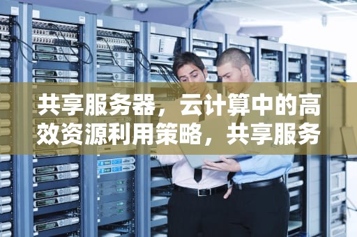 共享服务器，云计算中的高效资源利用策略，共享服务器怎么搭建