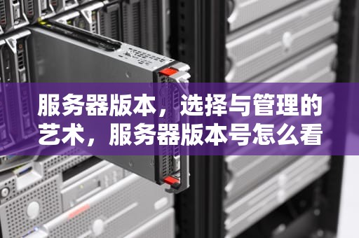 服务器版本，选择与管理的艺术，服务器版本号怎么看