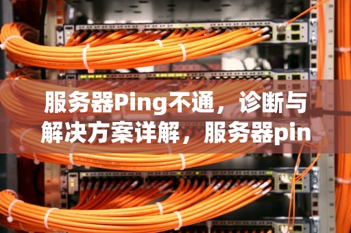服务器Ping不通，诊断与解决方案详解，服务器ping不通网关