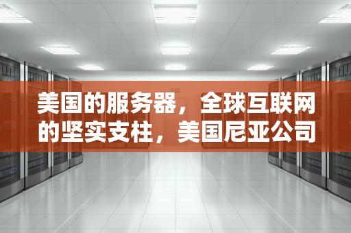 美国的服务器，全球互联网的坚实支柱，美国尼亚公司开发软件从位于美国的服务器