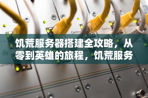 饥荒服务器搭建全攻略，从零到英雄的旅程，饥荒服务器搭建教程