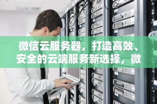 微信云服务器，打造高效、安全的云端服务新选择，微信云服务器价格