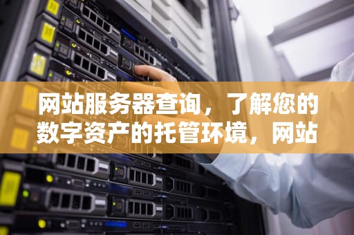 网站服务器查询，了解您的数字资产的托管环境，网站服务器查询工具