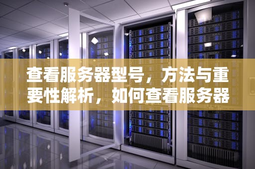 查看服务器型号，方法与重要性解析，如何查看服务器型号