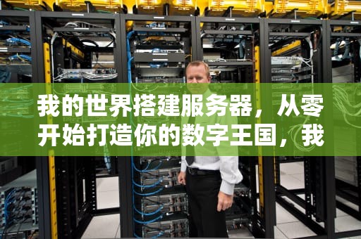 我的世界搭建服务器，从零开始打造你的数字王国，我的世界搭建服务器教程