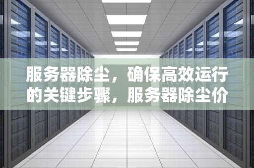 服务器除尘，确保高效运行的关键步骤，服务器除尘价格