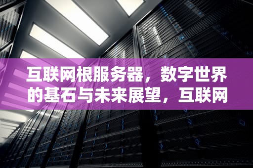 互联网根服务器，数字世界的基石与未来展望，互联网根服务器在哪个国家