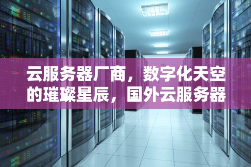 云服务器厂商，数字化天空的璀璨星辰，国外云服务器厂商